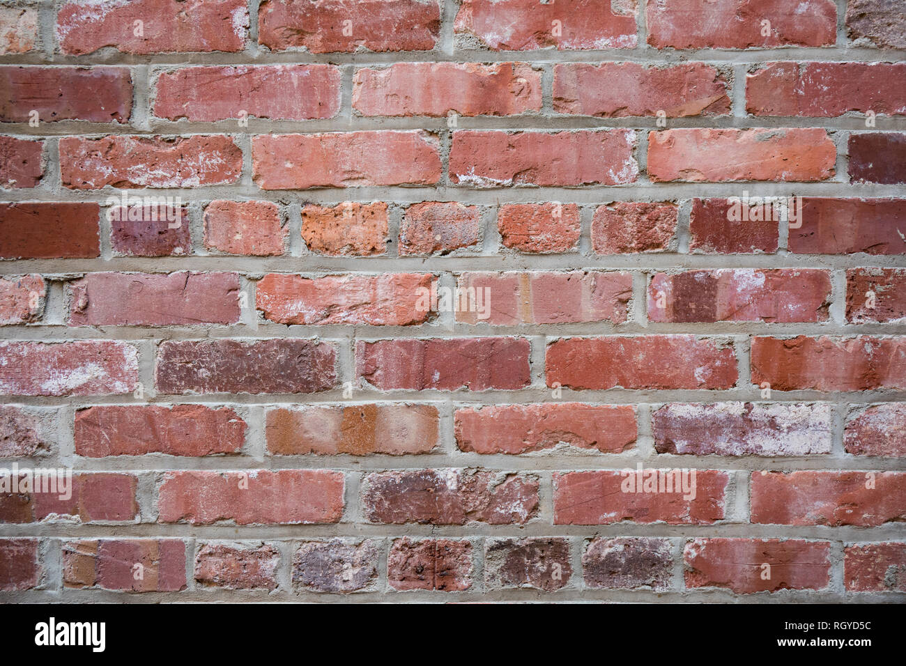 A grunge brick wall for a textured background. Stock Photo