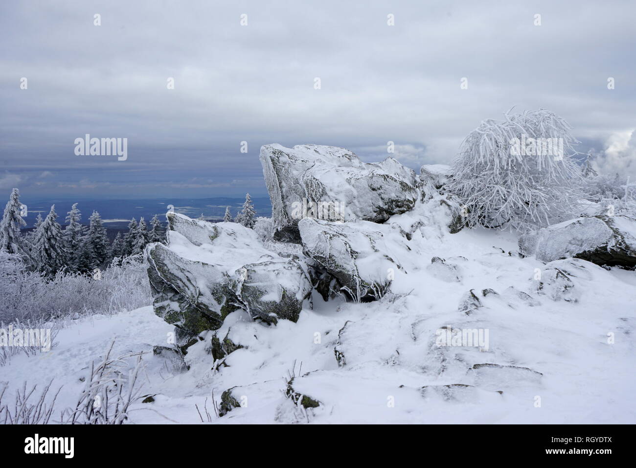 Brunhildisfelsen, Quarzit, vereist, Winterlandschaft, Großer Feldberg, Hochtaunus, Taunus, Hessen, Deutschland Stock Photo