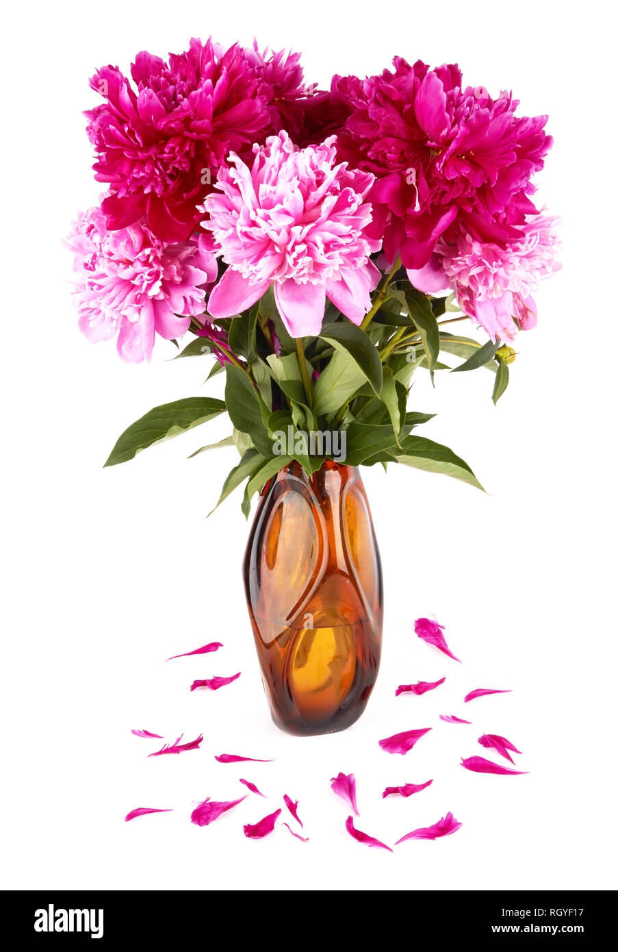 Pink peonies in a vase isolated on a white background Stock Photo - Alamy