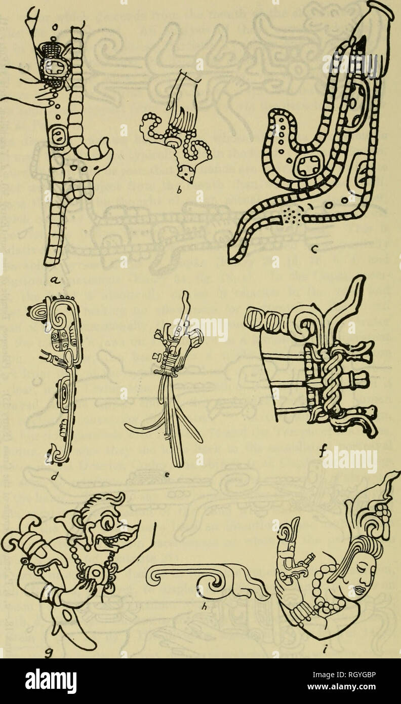 . Bulletin. Ethnology. 308 BUREAU OF AMERICAN ETHNOLOGY [BtTLL. 157. Figure 19—a, Yaxchilan, Stela 4 (Entry 52). b, Yaxchilan, Stela 7 (Entry 54). c, Yax- chilan, Stela 6 (Entry 53). d, Ulua Valley (Entry 65). e, Palenque, Temple of the Foliated Cross (Entry 37). /, Yaxchilan, Stela 1 (Entry 50). g, Copan, Stela D, (Entry 26). h, Tikal, Temple IV. », Copan, Stela HJEntry 27).. Please note that these images are extracted from scanned page images that may have been digitally enhanced for readability - coloration and appearance of these illustrations may not perfectly resemble the original work.. Stock Photo