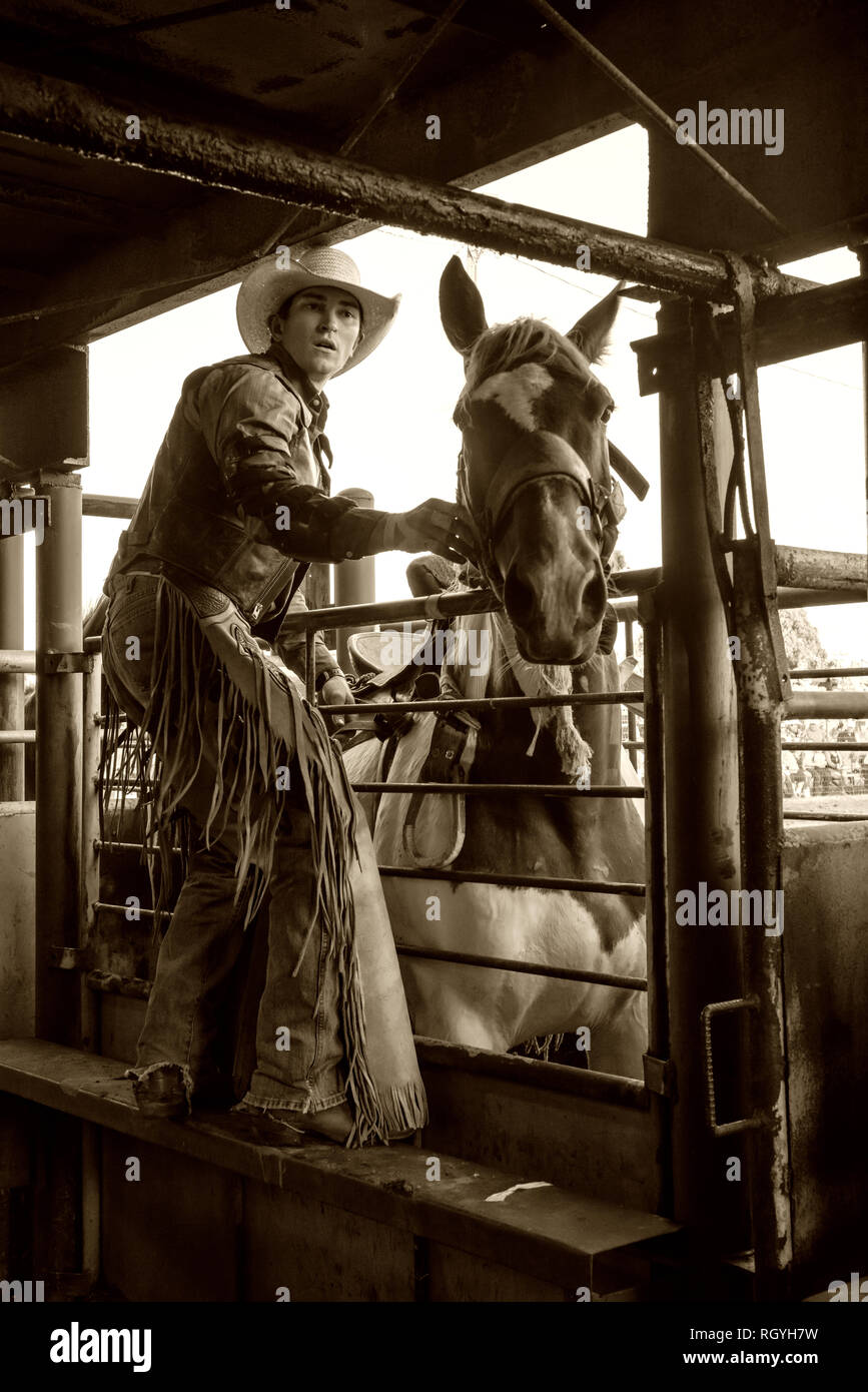 Texas rodeo cowboy Stock Photo