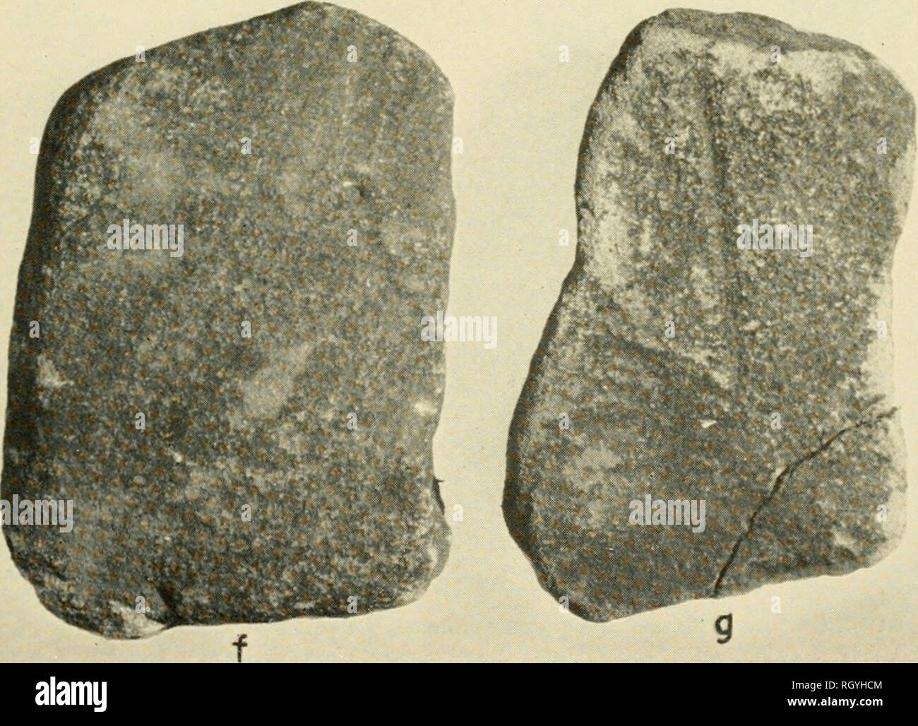106 kilos in stones 2025
