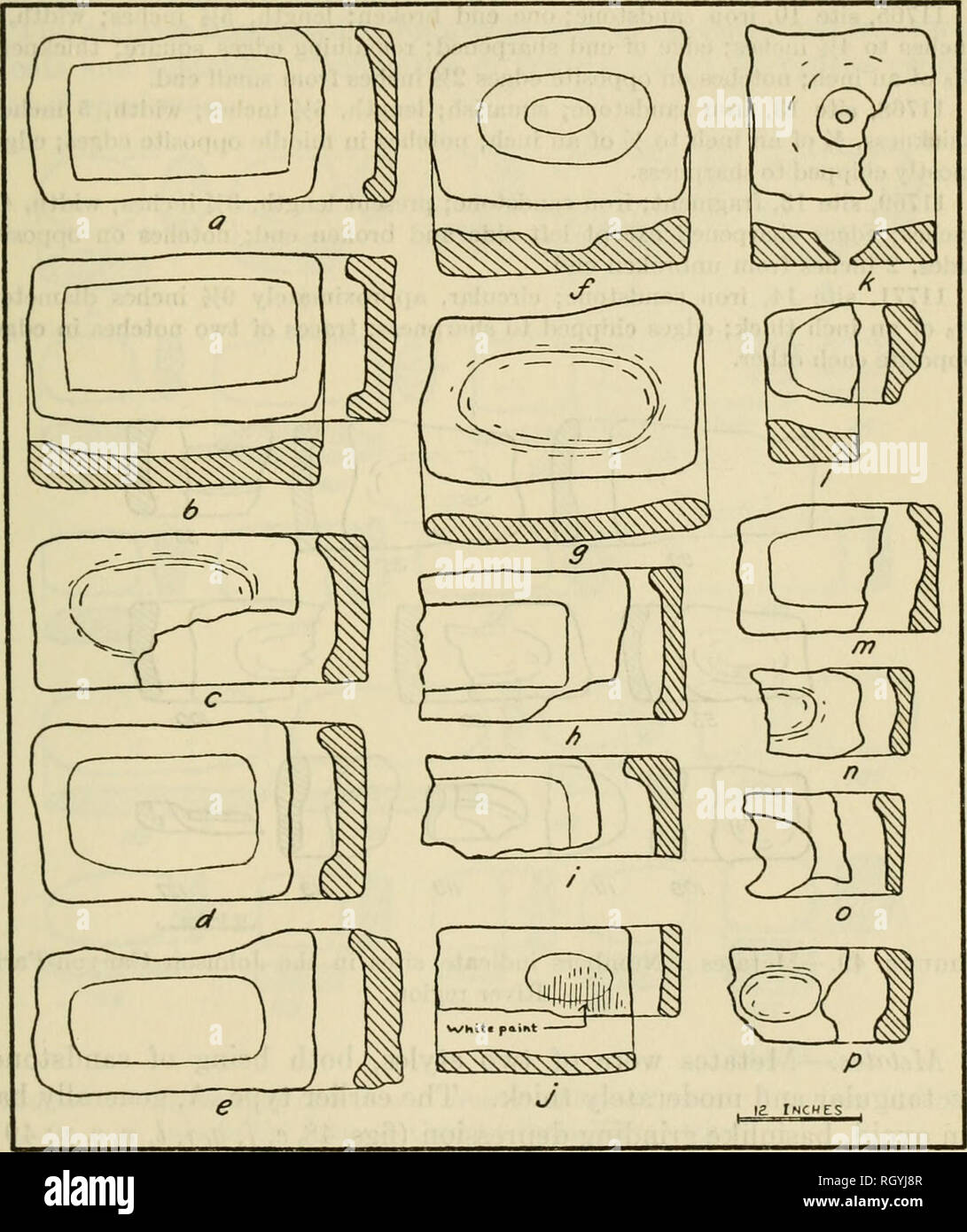 munt cafetaria Afkorting Bulletin. Ethnology. Anthkop. Fap. no. 18] UTAH ARCHEOLOGY—STEWARD 311 Site  2 also yielded three small, yellow, nondent kernels of maize, a squash  stem, and fragments of squash or gourd, and a