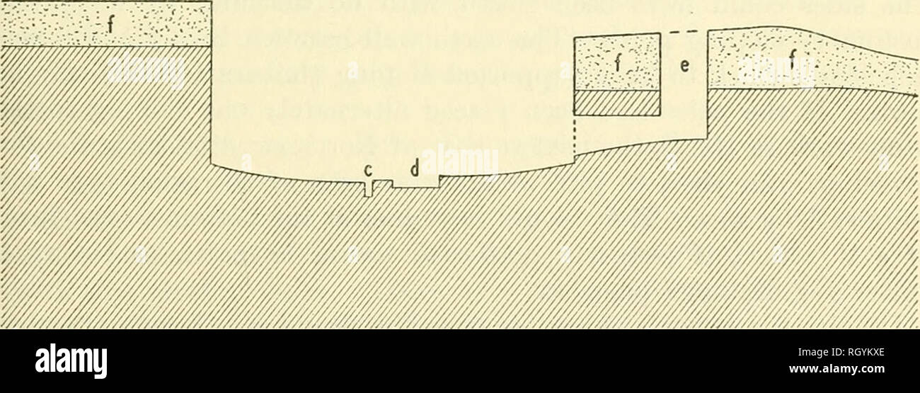 . Bulletin. Ethnology. 5 FEET. Figure 16.—Structure 8. a, holes for main supports; 6, opening into 7 ; c, sipapu; rf, fire pit; e, ventilator shaft; t&gt; recent accumulation of sand above original surface. inches (6.35 cm) above the floor. The passage was 2 feet 8^ inches (69.85 cm) long and where it entered the shaft was 1 foot 3 inches (38.1 cm) and 1 foot l^ inch (31.75 cm). At the passage side its original depth was 1 foot 4I/2 inches (41.91 cm), which was increased to 2 feet 11 inches (88.9 cm) by the sand drift. At the back of the shaft the original depth was 1 foot 4 inches (40.64 cm)  Stock Photo