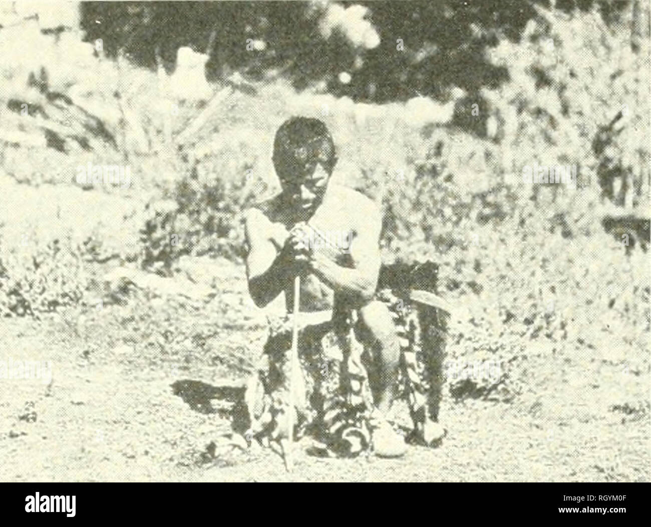 Patwin hires stock photography and images Alamy