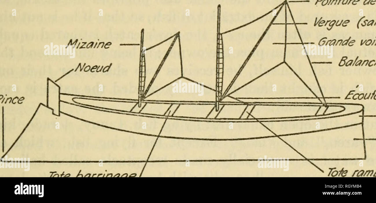 . Bulletin. Ethnology. TAYLOR] THE CARIES OF DOMINICA 143 pose), and two square lugsails, traversed diagonally by yards. The local names for various parts of the boat and rigging are given in the diagram (fig. 35). Curious is the forward part of the finished canoe: the prow, called noeud (knot), forming a separate piece shaped out of white cedar (Tacoma leucoxylon), and the stem, or pince, ^vith its forward cant. The noeud is fitted mto the front of the canoe proper, with which it forms an angle, and to it are attached the sides and gunwale. The canoe is calked along the jointure of the sidebo Stock Photo