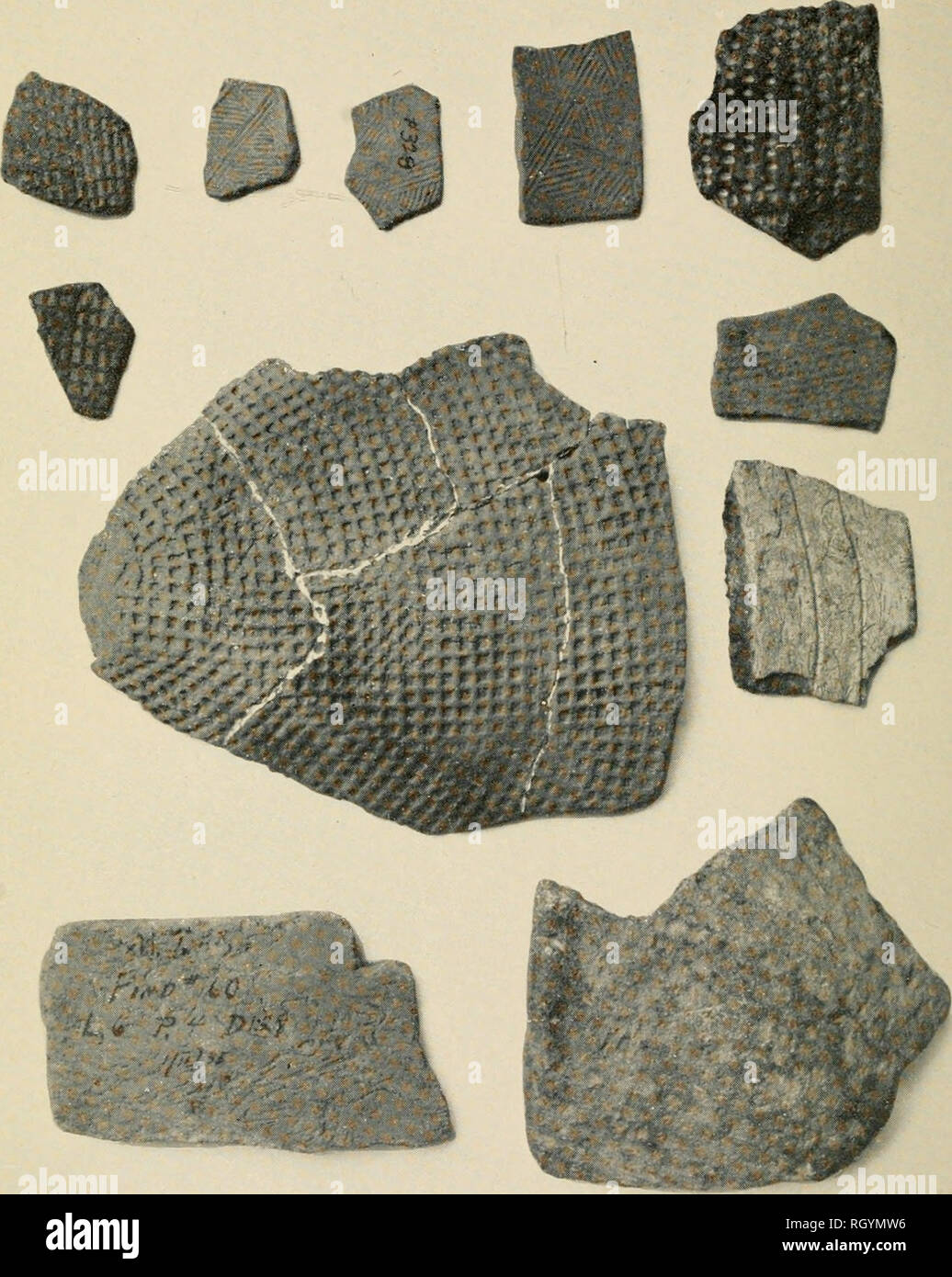 . Bulletin. Ethnology. BUREAU OF AMERICAN ETHNOLOGY BULLETIN 119 PLATE 10. A group of sherds representing the important minority wares which act as site markers and help to establish relative chronological position in central Georgia. Top: Two checker stamps and three sherds of Delta complicated ware. Right, top to bottom: Fiber tempered with punctates in trailed incised lines; checker stamp; fiber tem- pered with simple trailing; piece of steatite bowl. Center: A large side and basal sherd from a conical pot cataloged from Swift Creek. Lower left corner: A typical sherd of plain, fiber-temper Stock Photo