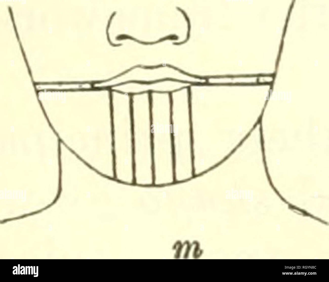 Bulletin. Ethnology. kroeber] HANDBOOK OF INDIANS OF CALIFORNIA