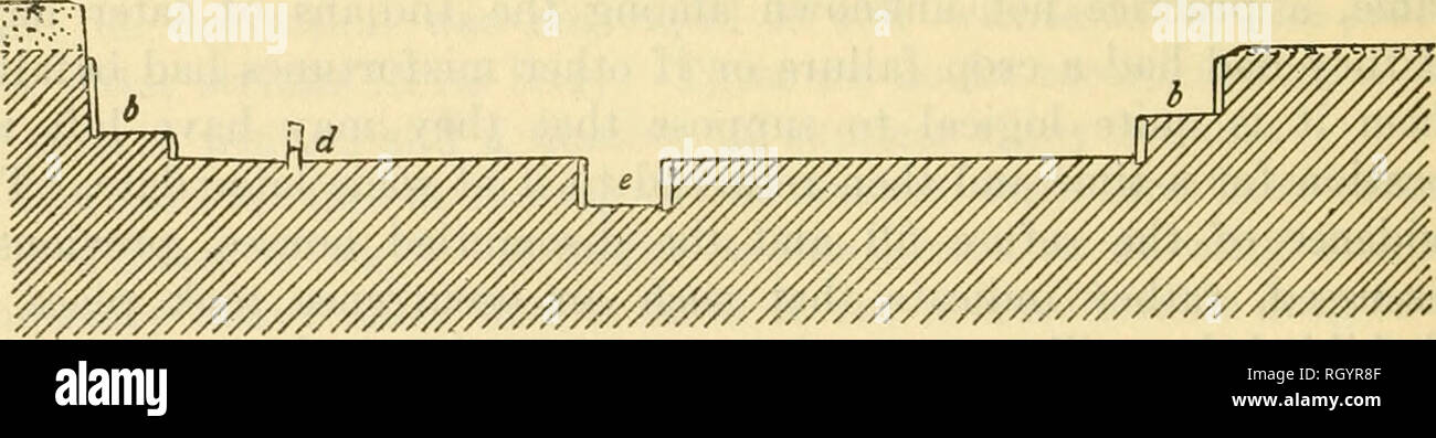 . Bulletin. Ethnology. ro/t.. Fig. 24.—Plan of kiva. a, Posts in face of bench and back wall, b, Bench or banquette, c, Support posts, d, Deflector, e Fire pit construction, however. In addition to the stones and plaster, tim- bers were used. Long poles supported on short posts were found in both the facing of the bench and the outer circle of slabs. The short upright posts were set at intervals between the edges of the slabs and the longer poles were placed horizontally along their tops. (Fig. 25.) This seems to have been done with the idea of leveling the uneven upper ends of the slabs and a Stock Photo