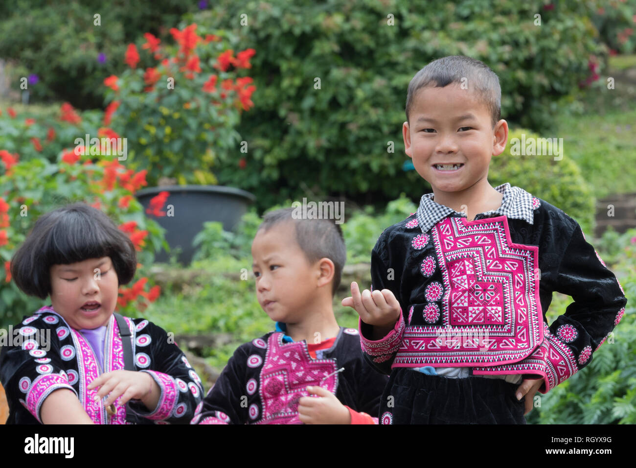 Asian Hmong boy posing in garden. Stock Photo