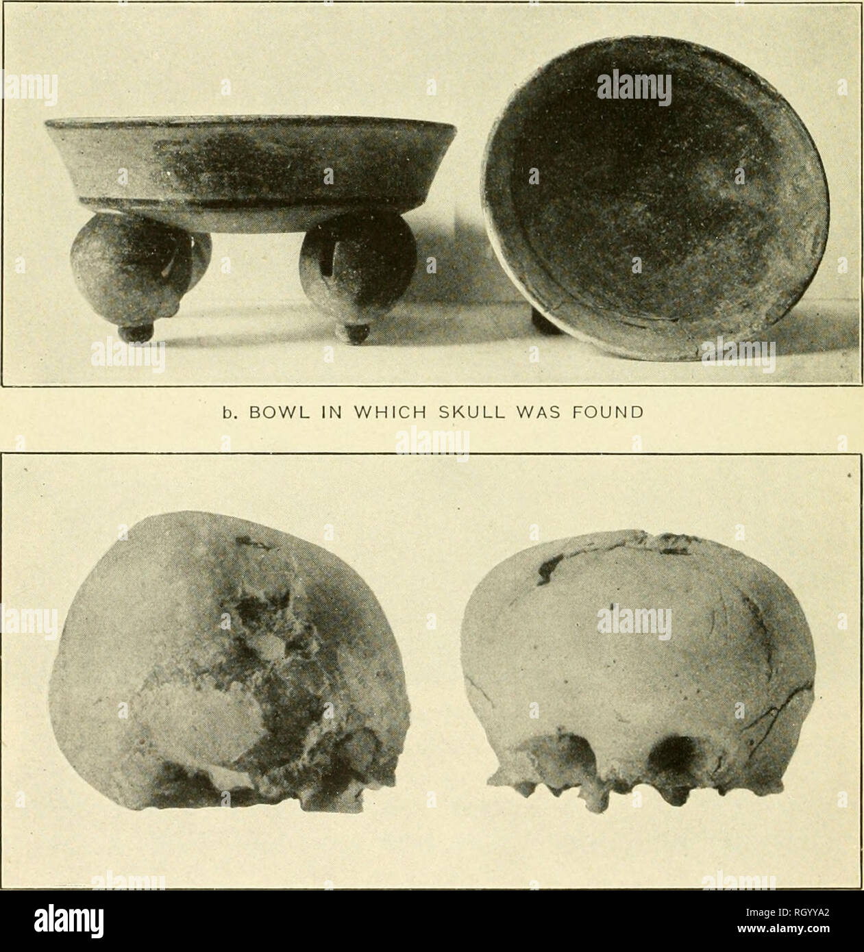 . Bulletin. Ethnology. a. SMALL POTTERY SEAL. c. SKULL Length, 15.9 cm.; breadth, 1.3.9 cm.; height, 13.3 cm.; circumference, 47.9 cm.. Please note that these images are extracted from scanned page images that may have been digitally enhanced for readability - coloration and appearance of these illustrations may not perfectly resemble the original work.. Smithsonian Institution. Bureau of American Ethnology. Washington : G. P. O. Stock Photo