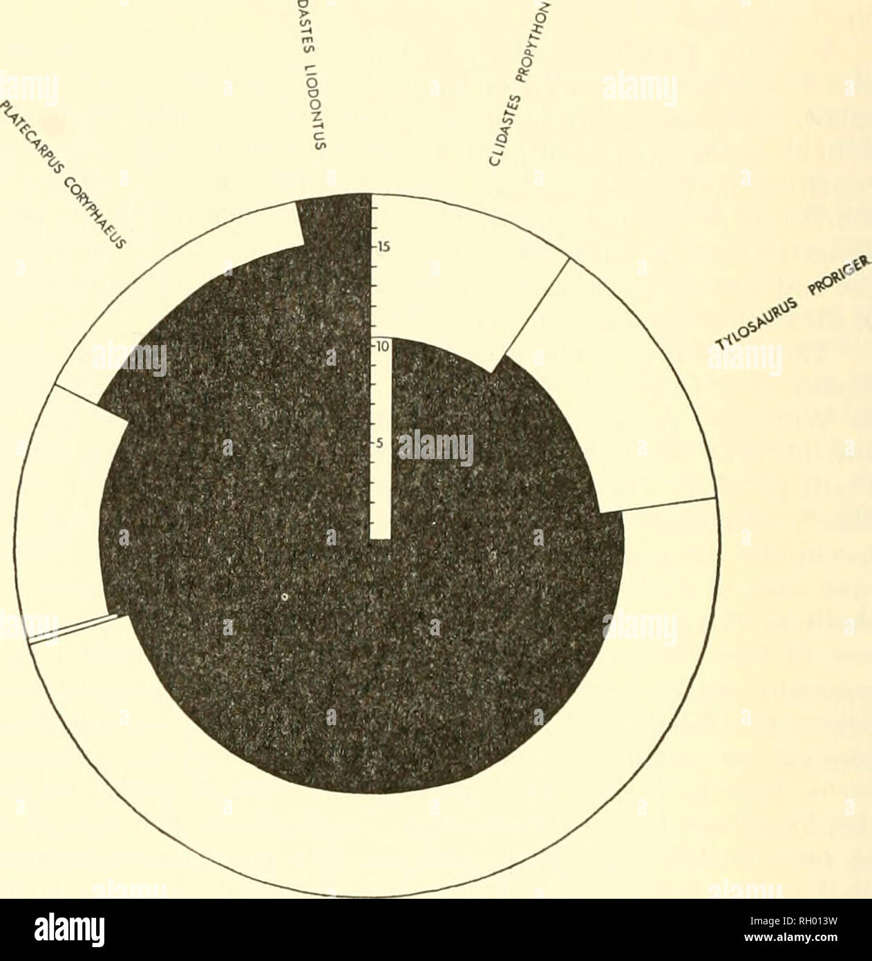 File:Neocarus spelaion (10.3897-subtbiol.27.25777) Figure 7.jpg