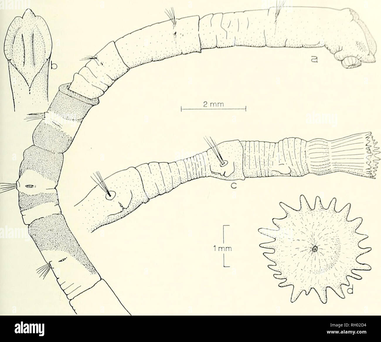 Mature se tube