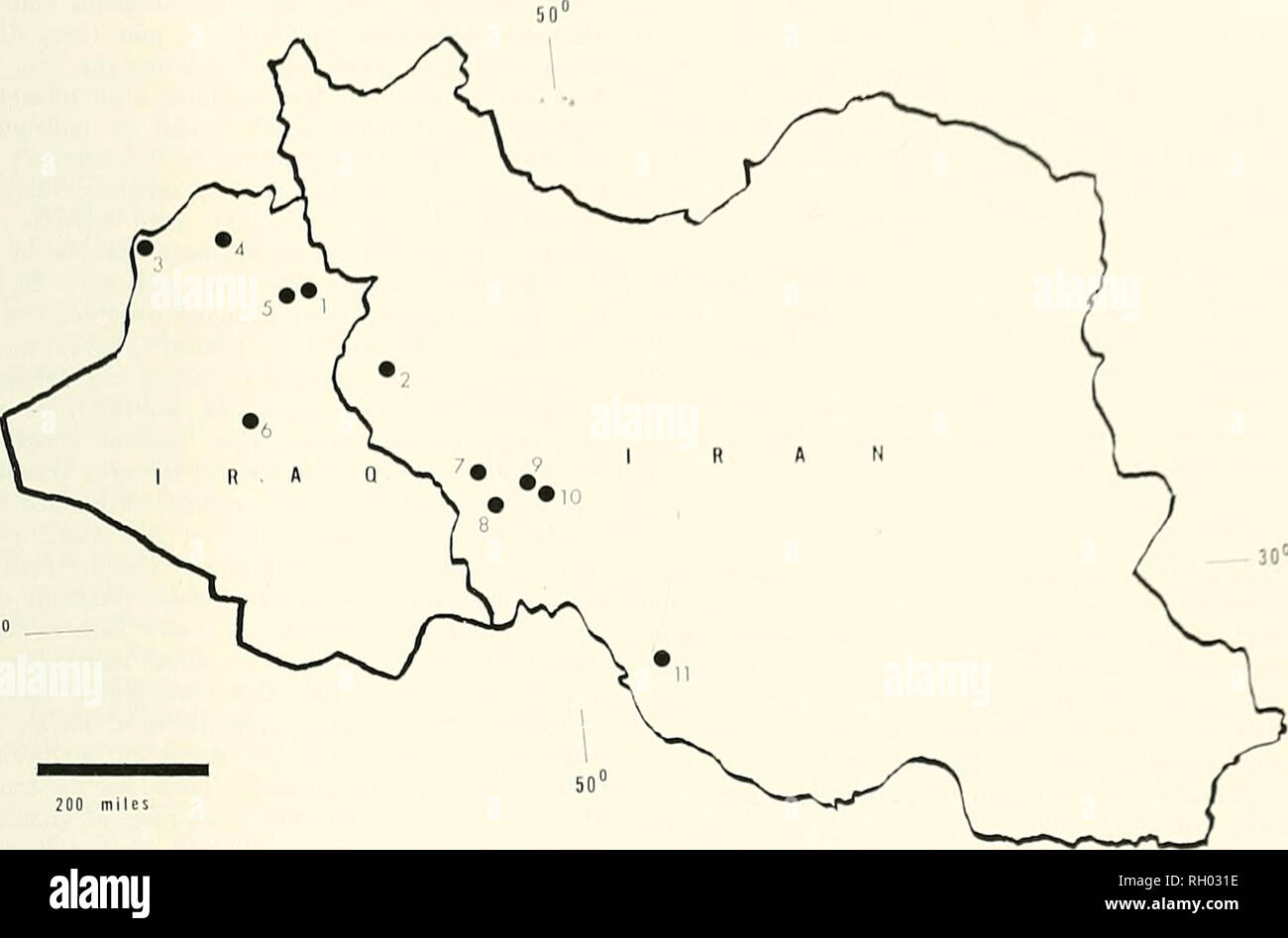 . Bulletin. Science; Natural history; Natural history. H)7.i A NIM GECKO iliOM IRAS AND IR Q. 30u Figure 2. Asaccus griseonotus, new species: (1) Palagawrah Cave. Sulaimaniyab Liwa. Iraq, c. 925 m. (type locality?); (2) 38.5 mi from Shahabad (direction not recorded). Kermanshah Province, Iran (type locality). Asaccus elisae: (3) Balad Sinjar. Mosul Liwa, Iraq, c. 770 m; (4) Nineveh, Mosul Liwa, Iraq (type locality); (5) Jarmo. Kirkuk Liwa. Iraq, c. 800 m; (6) Baghdad, Iraq; (7) Dezful. Khuzestan Province, Iran. c. 160 m (type locality for Phyllodactylus eugeniae Nikolsky); (8) Abu Karaniyeh,  Stock Photo