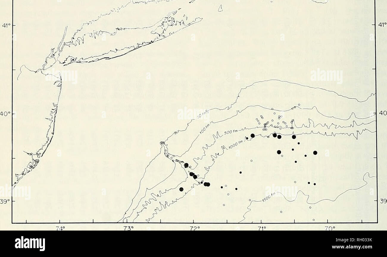 . Bulletin. Science; Natural history; Natural history. 206 BULLETIN SOUTHERN CALIFORNIA ACADEMY OF SCIENCES VOLUME 75 74Â° 73Â° 72Â° 71Â° 70Â° l^'V -r â y T&quot; T T &quot;T&quot; l^tUuv);^^--'. Figure 1. Positions of trawl stations south of New England. Open circles: no Corypliaenoides carapinus; small dots: 9 C. carapinus per hour. the relation between gonadal weight and total weight of the fish. The most obviously ripe speci- mens were taken in November, when the slope of the gonad weight/total weight relation was greatest. By February-March relative weight of the gonad was reduced to the  Stock Photo