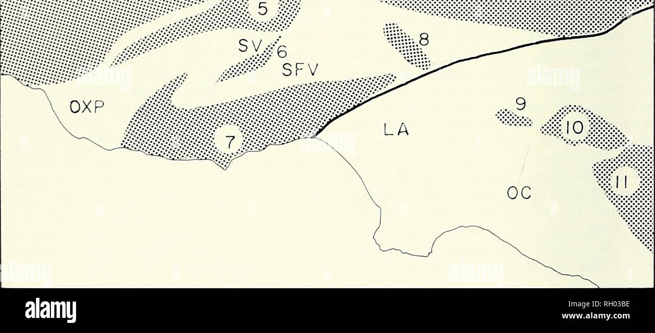 . Bulletin. Science; Natural history; Natural history. Figure 1. Guide to the mountain ranges, geomorphic provinces, and other points of interest of southern California (refer to cover illustration). 1, Sierra Nevada and Tehachapi Moun- tains; 2, Mt. Pinos-Tecuya Mountain—Plieto Hills area; 3, Santa Ynez Mountains; 4, San Gabriel Mountains; 5, Santa Susana Mountains and Oak Ridge; 6, Simi Hills; 7, Santa Monica Mountains; 8, Verdugo Mountains and San Rafael Hills (3-8, Transverse Range); 9, Fullerton Hills; 10, Puente Mountains; 11, Santa Ana Mountains (9-11, Peninsular Ranges). CV, Central Va Stock Photo