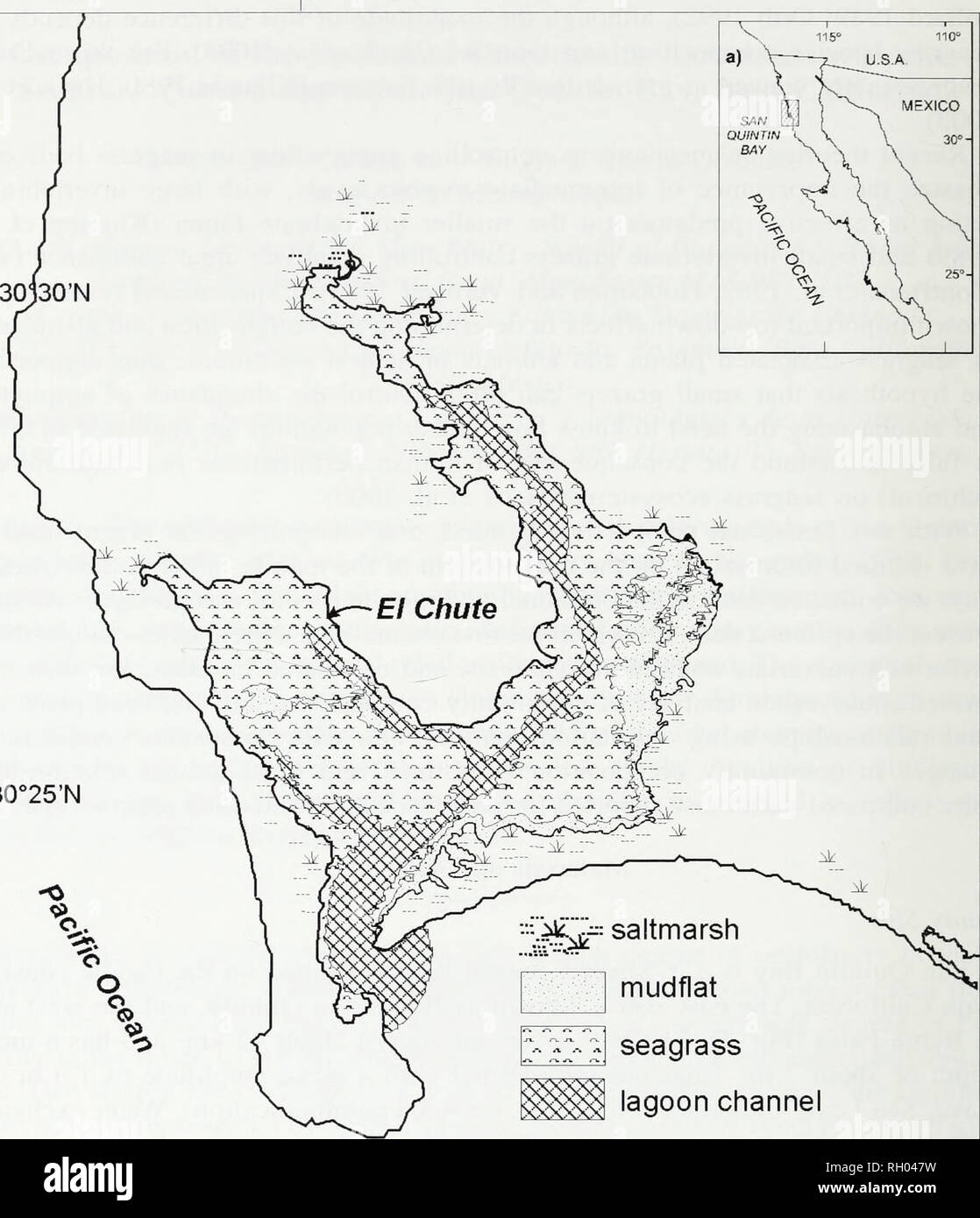 . Bulletin. Science. 102 SOUTHERN CALIFORNIA ACADEMY OF SCIENCES. 30°25'N seagrass 3 lagoon channel 10 Km 30°20'N 116°00'W 115°55W Fig. 1. Location of the sampled area inside San Quintin Bay, Baja California, Mexico (modified from Ibarra-Obando et al. 2004). Reish 1963; Barnard 1964; Cook 1974; Calderon-Aguilera and Jorajuira-Corbo 1986; Bretado-Aguirre 1987; Cantu-Martinez 1987; Griffis and Chavez 1988; Dfaz-Castaneda and Rodriguez-Villanueva 1998), and at the community level (Barnard 1970; Calderon-Aguilera 1992; Sinicrope-Talley et al. 2000). Environ- mental conditions that play a role with Stock Photo