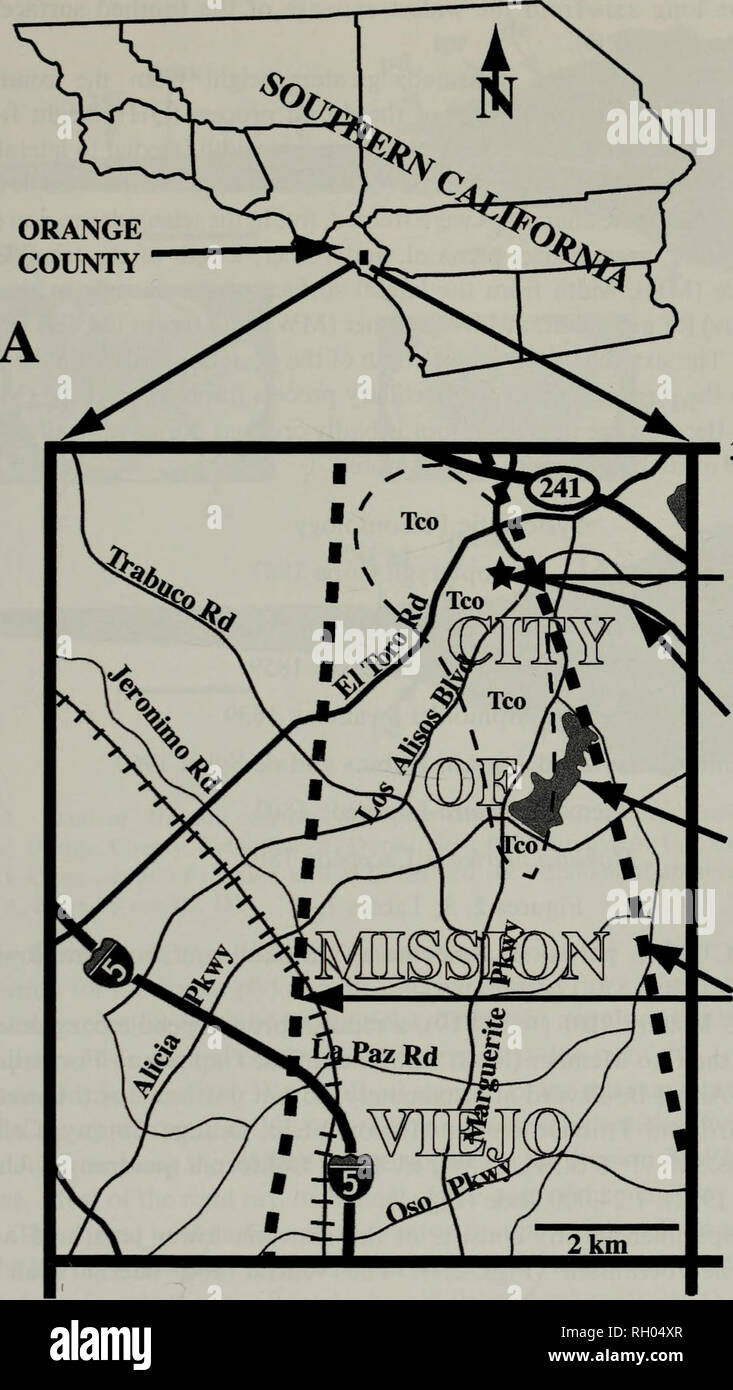 . Bulletin. Science. BLUE MARLIN FROM LATE MIOCENE OF ORANGE COUNTY 47. 33°40'N OCPC locality 3101 v Santa ^ Margarita Pkwy Lake Mission Viejo Margins of Capistrano Embayment 33°35'N 117°42,30&quot;W 117°37'30&quot;W B Fig. 1. Map of the collection site (OCPC locality 3101) of the skull of Makaira nigricans Lacepede 1802 (OCPC 31001), late Miocene, Oso Member, Capistrano Formation. A. Orange County in relation to other counties in southern California; B. Road map of area around Mission Viejo, Orange County, California with the collection site indicated by a star. Thick dotted lines represent t Stock Photo