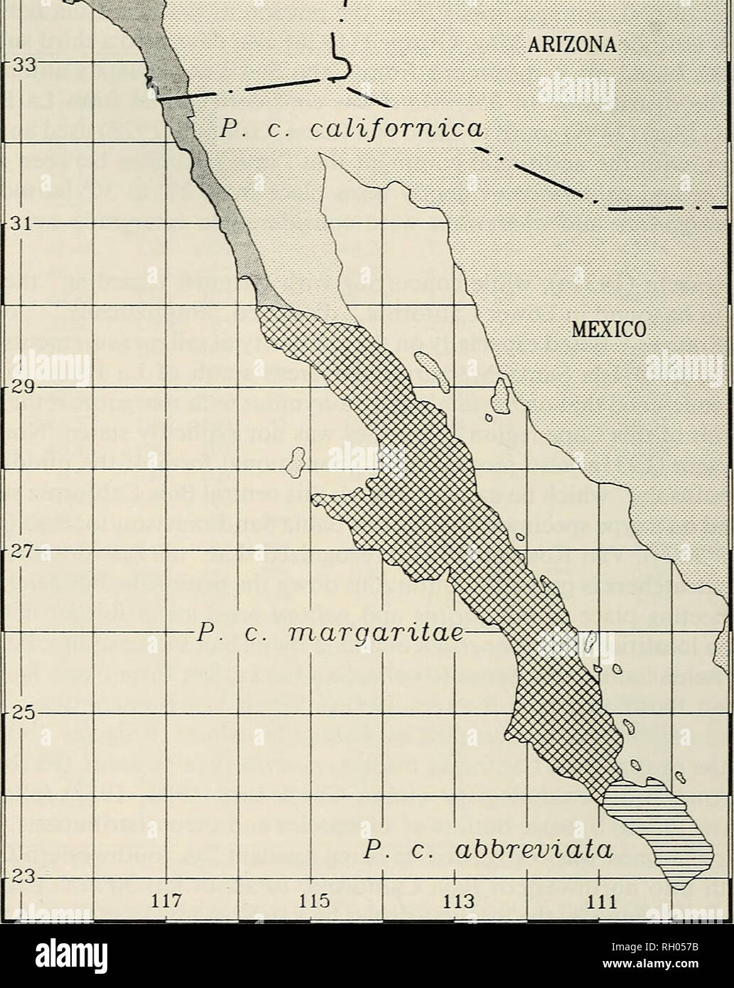 . Bulletin. Science; Natural history; Natural history. 128 SOUTHERN CALIFORNIA ACADEMY OF SCIENCES. V CALIFORNIA 0 50 100 150 200 250 300 350 â â â â¢ tilometers i&gt; ARIZONA {P. c. califomica  Fig. 7. Approximate geographic limits of California Gnatcatcher subspecies. Due to habitat loss, the indicated range of P. c. californica represents historic, not current, distribution. Mapped distri- butions of P. c. margaritae and P. c. abbreviata are similarly approximate, and include various areas characterized by habitat known to be unsuitable for California Gnatcatchers. For discussion of dis- t Stock Photo