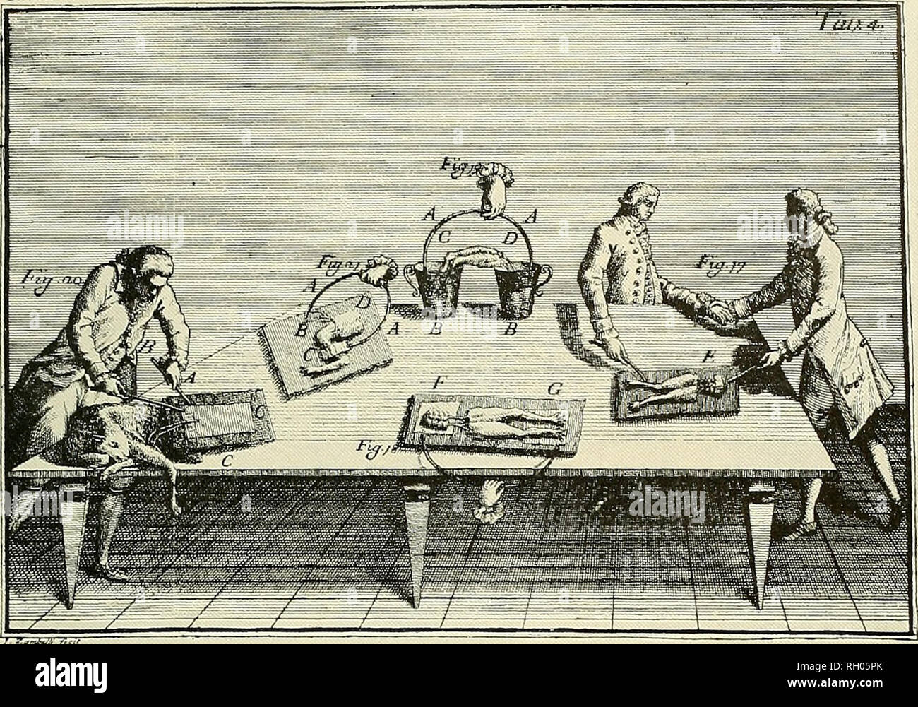 Bulletin. Science. J ^--^ij- Figure 2.—Galvani's experiments in animal  electricity. From Luigi Galvani, De Viribus Eledricitatis in Motu Musculari  Commentarius, Bologna, 1791, trans- lated by Margaret Foley, Norwalk,  Connecticut, 1953, pi.