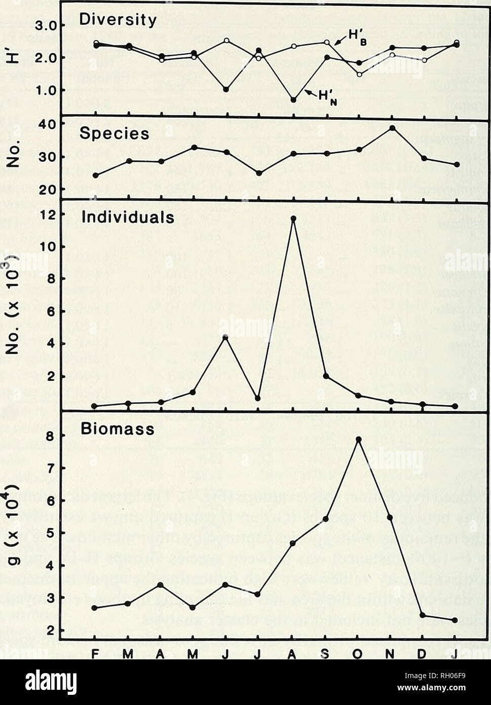 . Bulletin. Science; Natural history; Natural history. 56 SOUTHERN CALIFORNIA ACADEMY OF SCIENCES. 1979 1980 Months Fig. 3. Monthly variation (February 1979-January 1980) in diversity (Hf^' for numbers, H^' for biomass), number of species, number of individuals, and biomass (g) of juvenile-adult fishes collected by all methods at the Cabrillo Beach site. Mustehis californicus. Sphyraena argentea (California barracuda), Triakis semi- fasciata (leopard shark), and Sarda chiliensis (Pacific bonito). Group IV was made up of 16 relatively rare species that were captured in varying numbers by all th Stock Photo