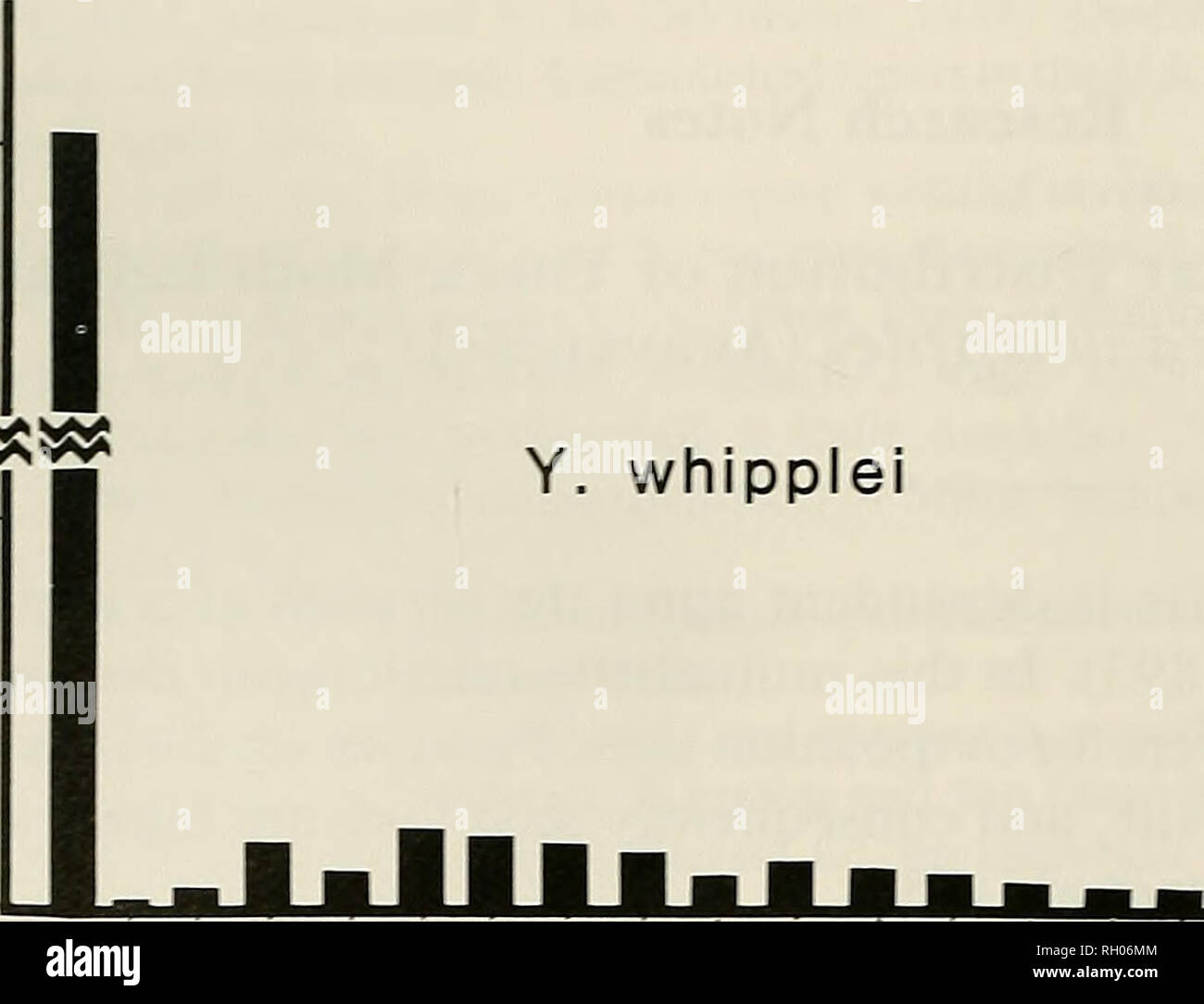 174 2912 hi-res stock photography and images - Alamy