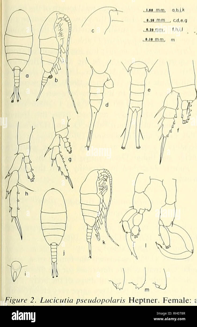 . Bulletin. Science; Natural history; Natural history. 1971 AKCTIC COI ...