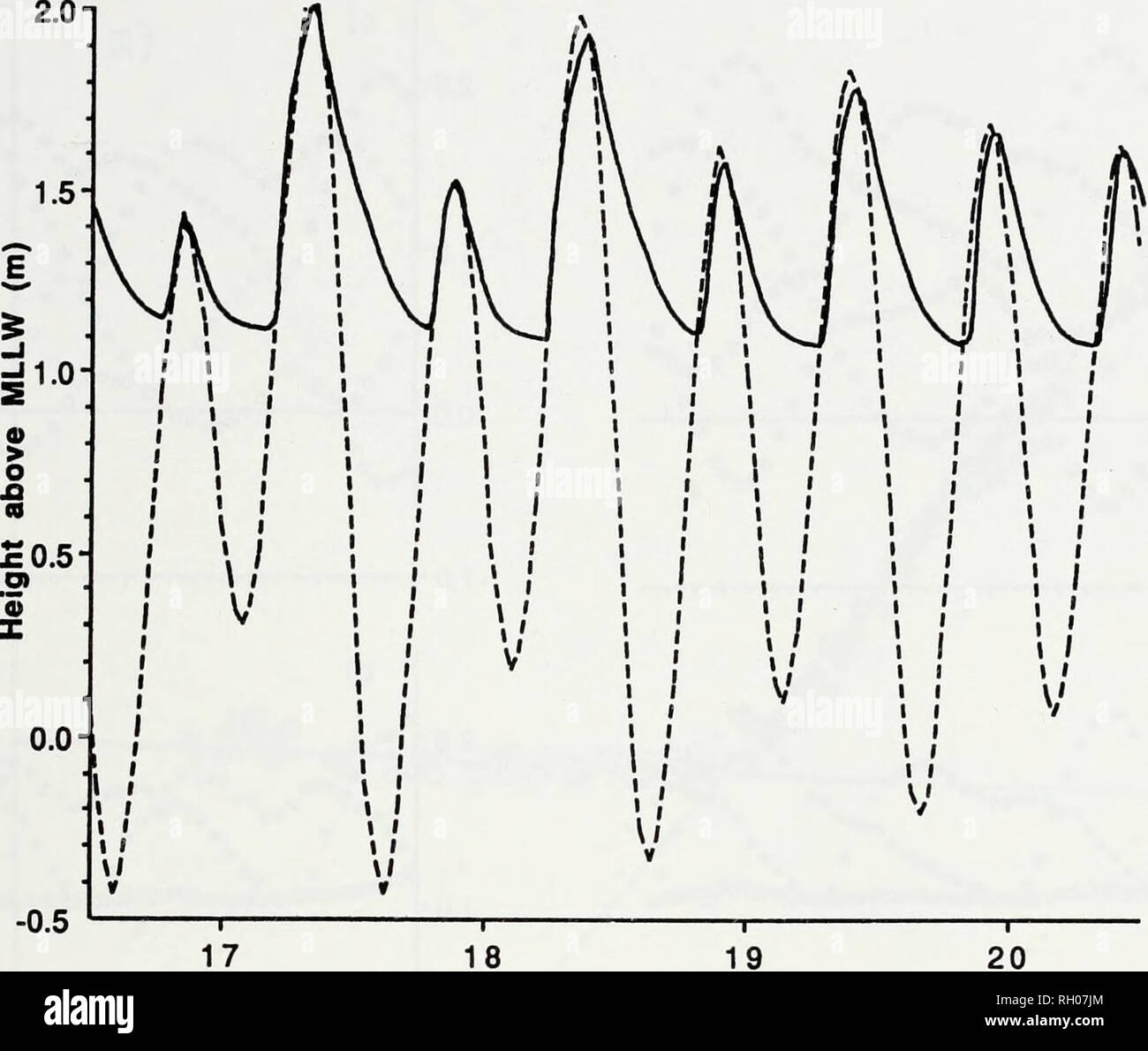 . Bulletin. Science. TIDAL DISTORTION IN CARPINTERIA MARSH 91. February 1992 Fig. 2. Carpinteria Salt Marsh tides (solid line) and predicted tides (dotted line), 16-20 Feb 1992. High tide levels in CSM were similar to those of predicted tides (Figs. 2, 3). Mean CSM high tides were 1.44 ± 0.30 m above MLLW (N = 88) in the summer period and 1.56 ± 0.23 m (N = 88) in the winter period. Mean predicted high tides for the same periods were 1.49 ± 0.35 m above MLLW and 1.42 ± 0.28 m. High tide levels in CSM were positively correlated with predicted high tide levels in both periods (Fig. 4). The relat Stock Photo