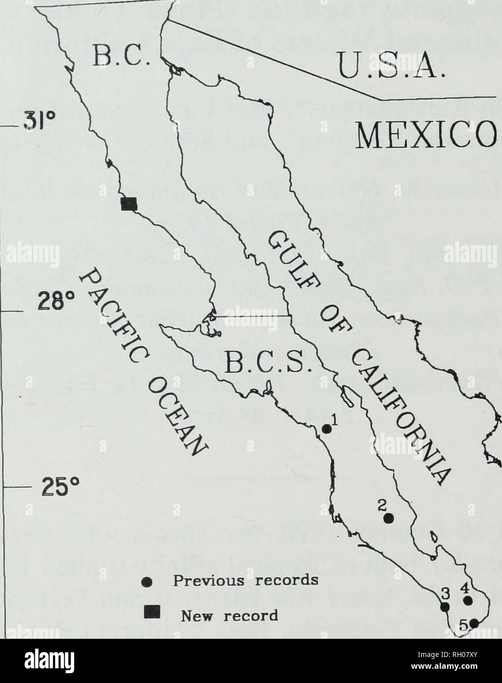 . Bulletin. Science. 132 SOUTHERN CALIFORNIA ACADEMY OF SCIENCES U.S.A. MEXICO. - 22° 117° • Previous records I New record II4C 110' Fig. 1. Previous and new records of Axvaous tajasica (Pisces: Gobiidae) in the peninsula of Baja California, Mexico. (1) Arroyo La Purfsima at town of La Purfsima, (2) Arroyo Las Pocitas at Pozas del Vado, (3) lower Arroyo Grande ca. Todos Santos, (4) Boca de la Sierra at Santiago, and (5) lower Rio San Jose del Cabo at San Jose del Cabo. de la Sierra at Santiago&quot; [stream of] (De Buen 1942); Rio San Jose del Cabo [lower part] (Follett 1960; Castro-Aguirre, 1 Stock Photo