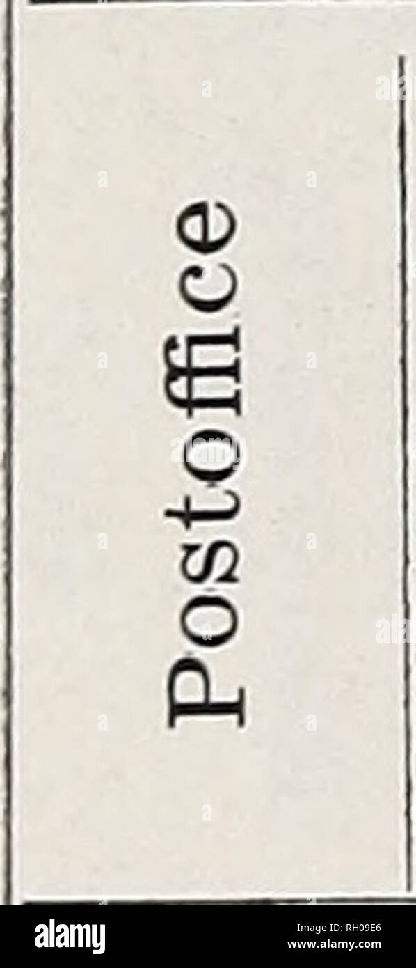 Bulletin Stallions Horses Cp Xi Cp P Op Ph G Pq P H 1 1 4 Mh P P P Lt P G G O A Jj O F F 0 Bulletin Stallions Horses Cp Xi Cp P Op Ph G Pq P H 1 1 4 Mh P P P Lt P G G O A Jj O F F 0