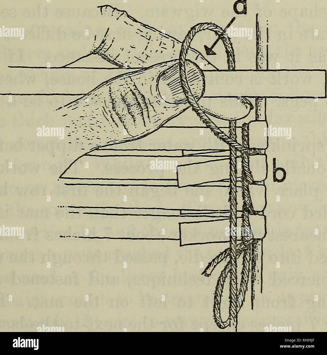 Bulletin. Ethnology. Anthrop. Pap. No. 67] CHIPPEWA MAT-WEAVING  TECHNIQUES—PETERSEN 257 To tie the first pair of leaves for the upper edge:  1. The worker grasps a pair of leaves, concave side