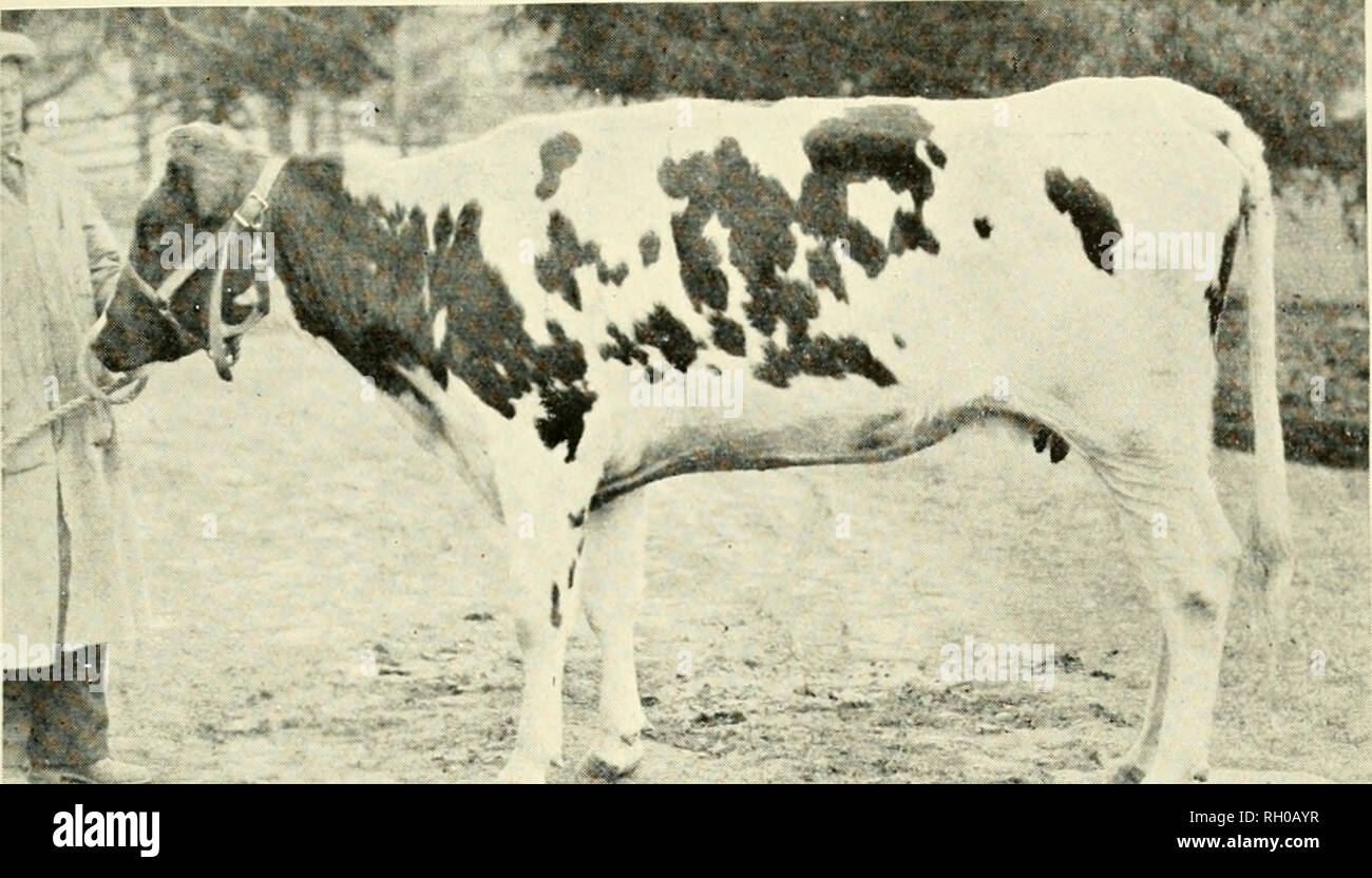 Bulletin. Agriculture -- New Hampshire. IT IS not surprisino; to learn that the animal above is a less efficient milk producer than the one below. The amazing thing is that, although Bulletin. Agriculture -- New Hampshire. IT IS not surprisino; to learn that the animal above is a less efficient milk producer than the one below. The amazing thing is that, although