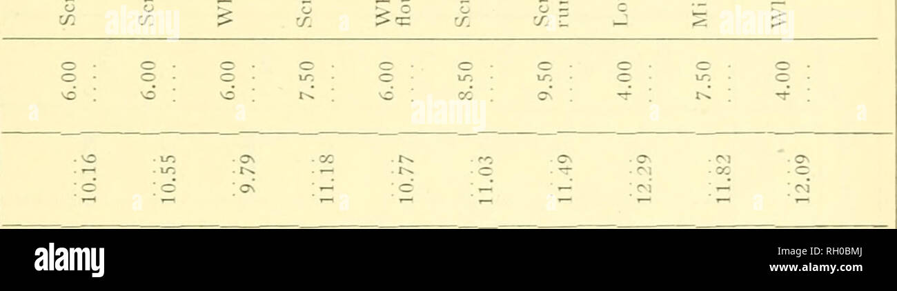 Tin Oo R High Resolution Stock Photography And Images Alamy