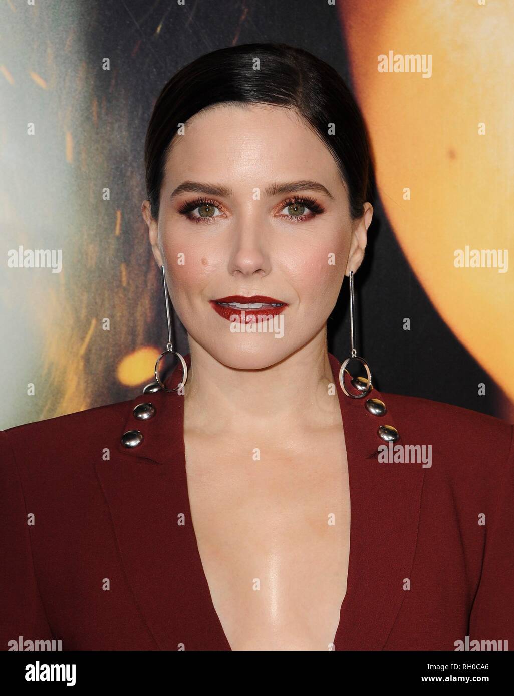 Los Angeles, CA, USA. 30th Jan, 2019. Sophia Bush at arrivals for MISS