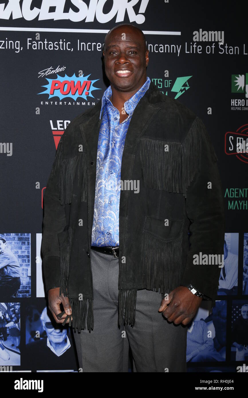Los Angeles, CA, USA. 30th Jan, 2019. LOS ANGELES - JAN 30: Isaac C Singleton Jr at the Excelsior! A Celebration of Stan Lee at the TCL Chinese Theater IMAX on January 30, 2019 in Los Angeles, CA Credit: Kay Blake/ZUMA Wire/Alamy Live News Stock Photo