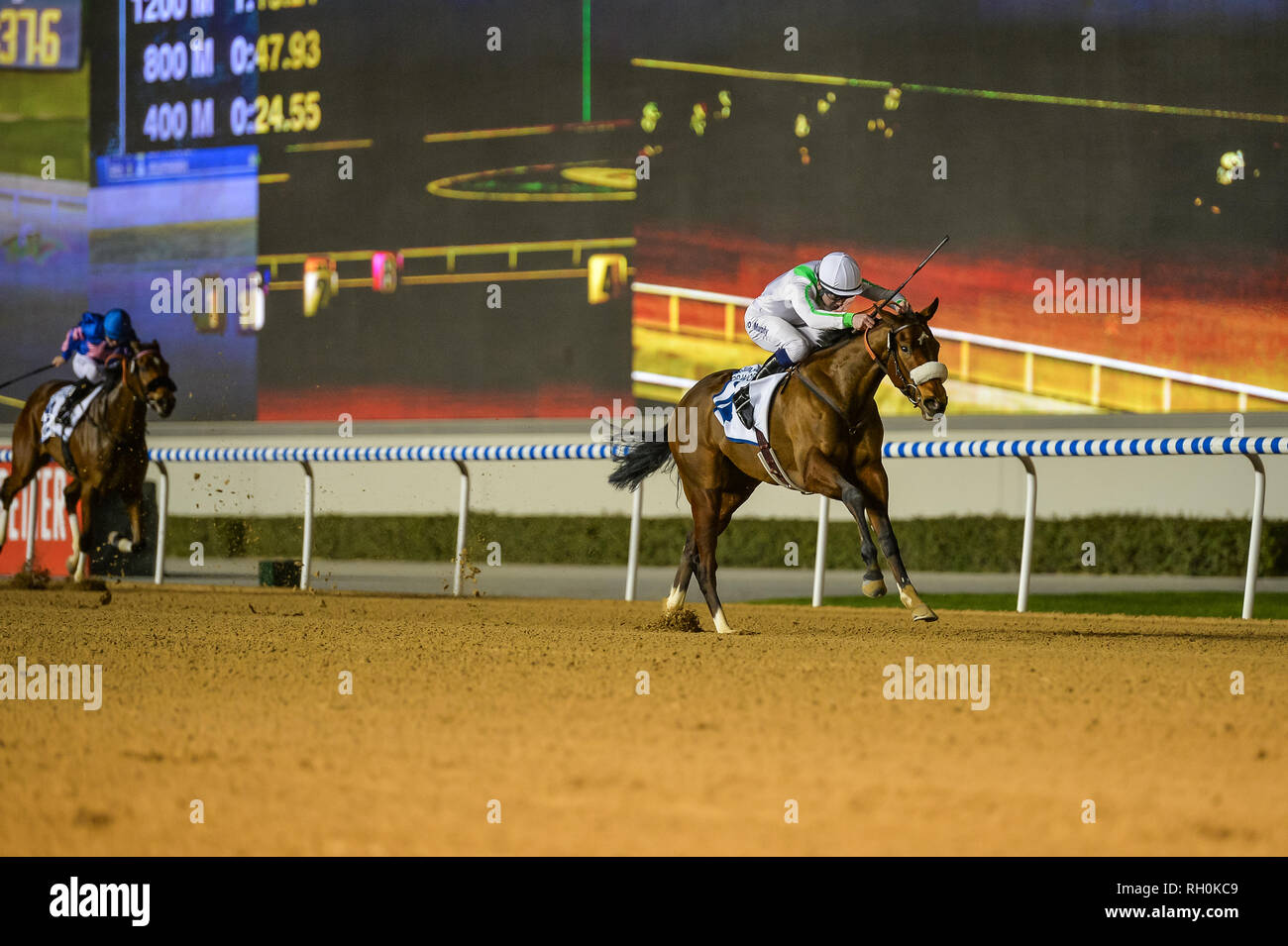 Dubai, UAE. 31st January 2019. Silva (IRE)  ridden by Oisin Murphy wins the UAE 1000 Guineas sponsored by DP World UAE Region during the 5th meet of the Dubai Racing Carnical 2019 at Meydan. The horse is trained by Pia Brandt and owned by Zalim Bifov Credit: Feroz Khan/Alamy Live News Stock Photo