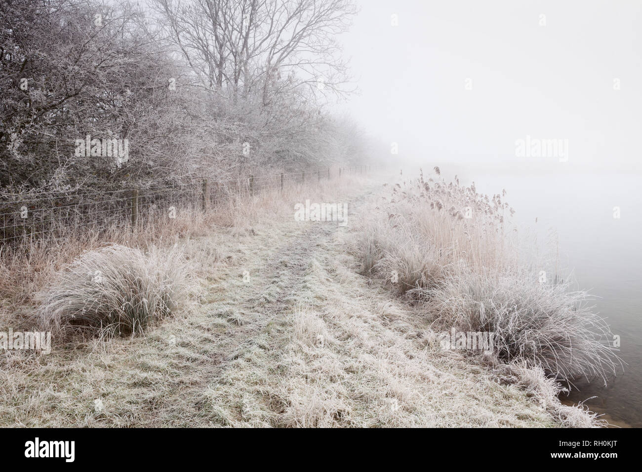 Barton-upon-Humber, North Lincolnshire, UK. 31st January, 2019. UK Weather: A bitterly cold day at a frozen Lincolnshire Wildlife Trust Nature Reserve after a night of sub-zero temperatures. Barton-upon-Humber, North Lincolnshire, UK. 31st January 2019. Credit: LEE BEEL/Alamy Live News Stock Photo