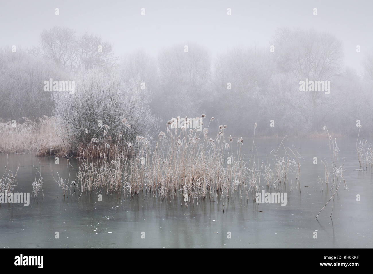 Barton-upon-Humber, North Lincolnshire, UK. 31st January, 2019. UK Weather: A bitterly cold day at a frozen Lincolnshire Wildlife Trust Nature Reserve after a night of sub-zero temperatures. Barton-upon-Humber, North Lincolnshire, UK. 31st January 2019. Credit: LEE BEEL/Alamy Live News Stock Photo