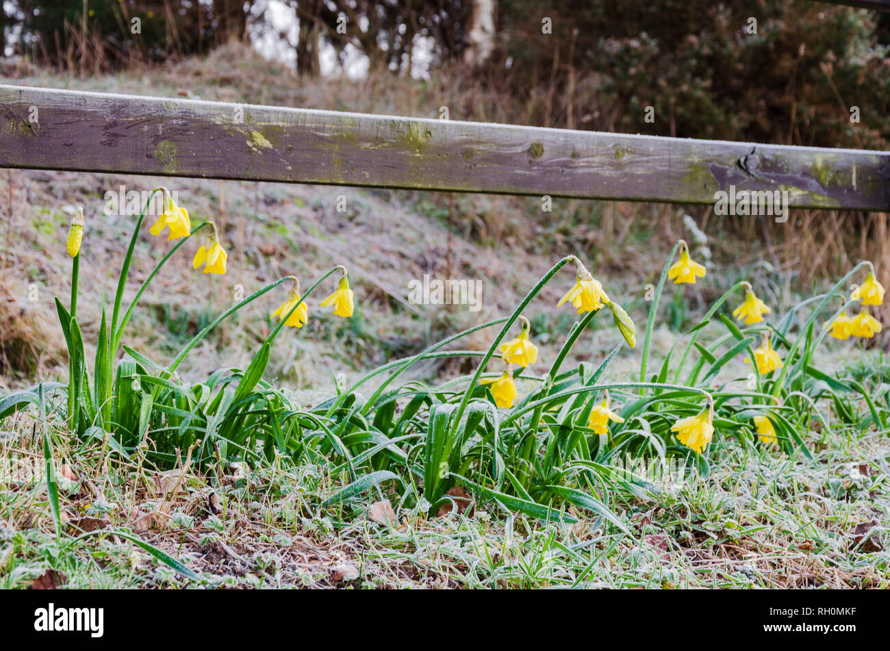 Bagillt hires stock photography and images Alamy