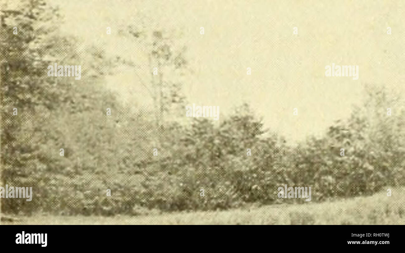 Bulletin Agriculture New Hampshire 16 N H Agricultural