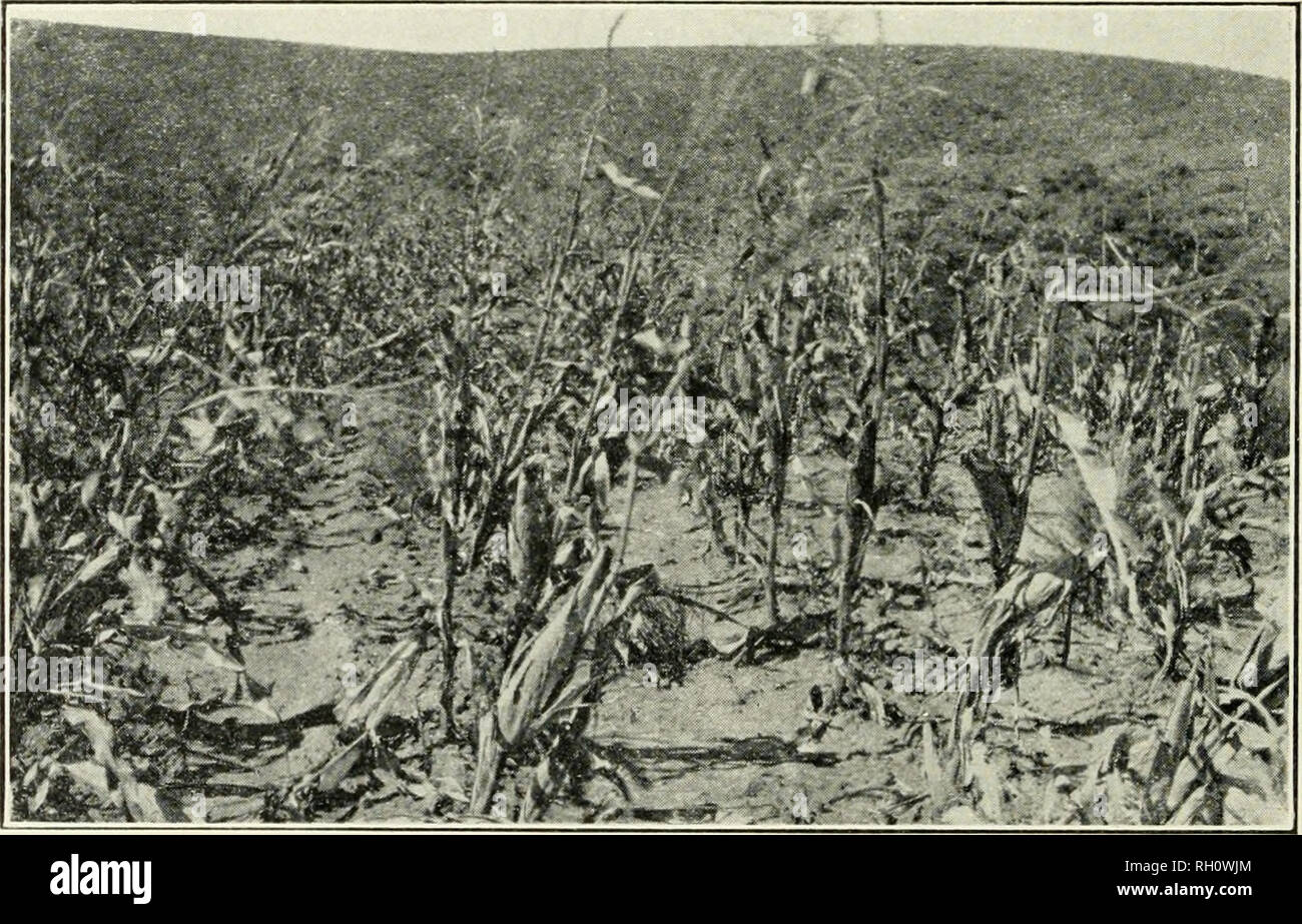 Pima indians hires stock photography and images Alamy