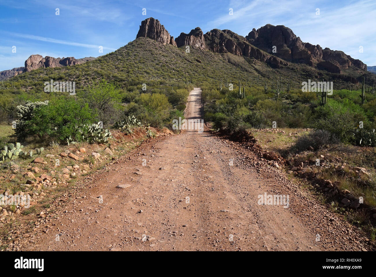 A dirt road runs through the Arizona desert. Stock Photo