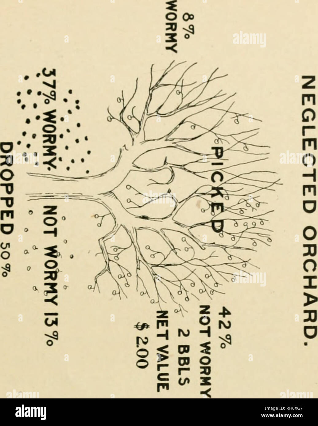 Vg 1 5 High Resolution Stock Photography And Images Alamy