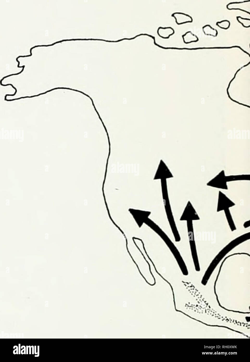 Evolution carbon dating