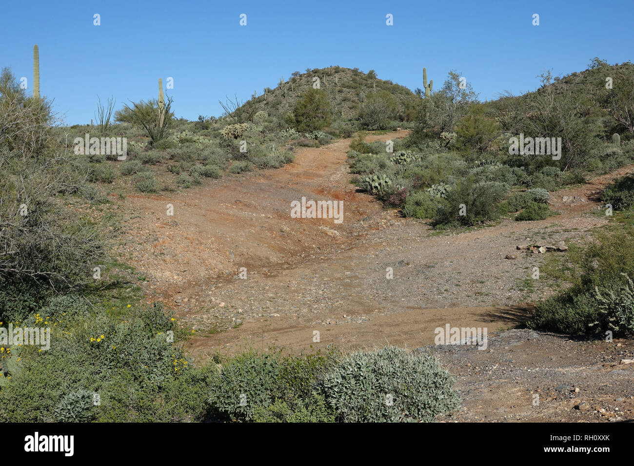 A view of a dirt road that runs through the Arizona desert. Stock Photo