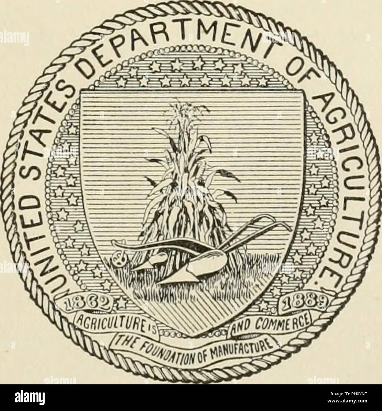 . Bulletin. Agriculture. U. S. DEPARTMENT OF AGRICULTURE. BUREAU OF PLANT INDUSTRY—BULLETIN NO. 189. B. T. GALLOWAY, Chief of Bureau. THE SOURCE OF THE DRUG DIOSCOREA, WITH A CONSIDERATION OF THE DIOSCOREJl FOUND IN THE UNITED STATES. BY HARLEY HARRIS BARTLETT, Chemical Biologist, Drug-Plant Investigations. Issued November 11, 1910.. LIBRARY NEW YORK 60TANICAL qakden. WASHINGTON: government printing office. 1910.. Please note that these images are extracted from scanned page images that may have been digitally enhanced for readability - coloration and appearance of these illustrations may not  Stock Photo