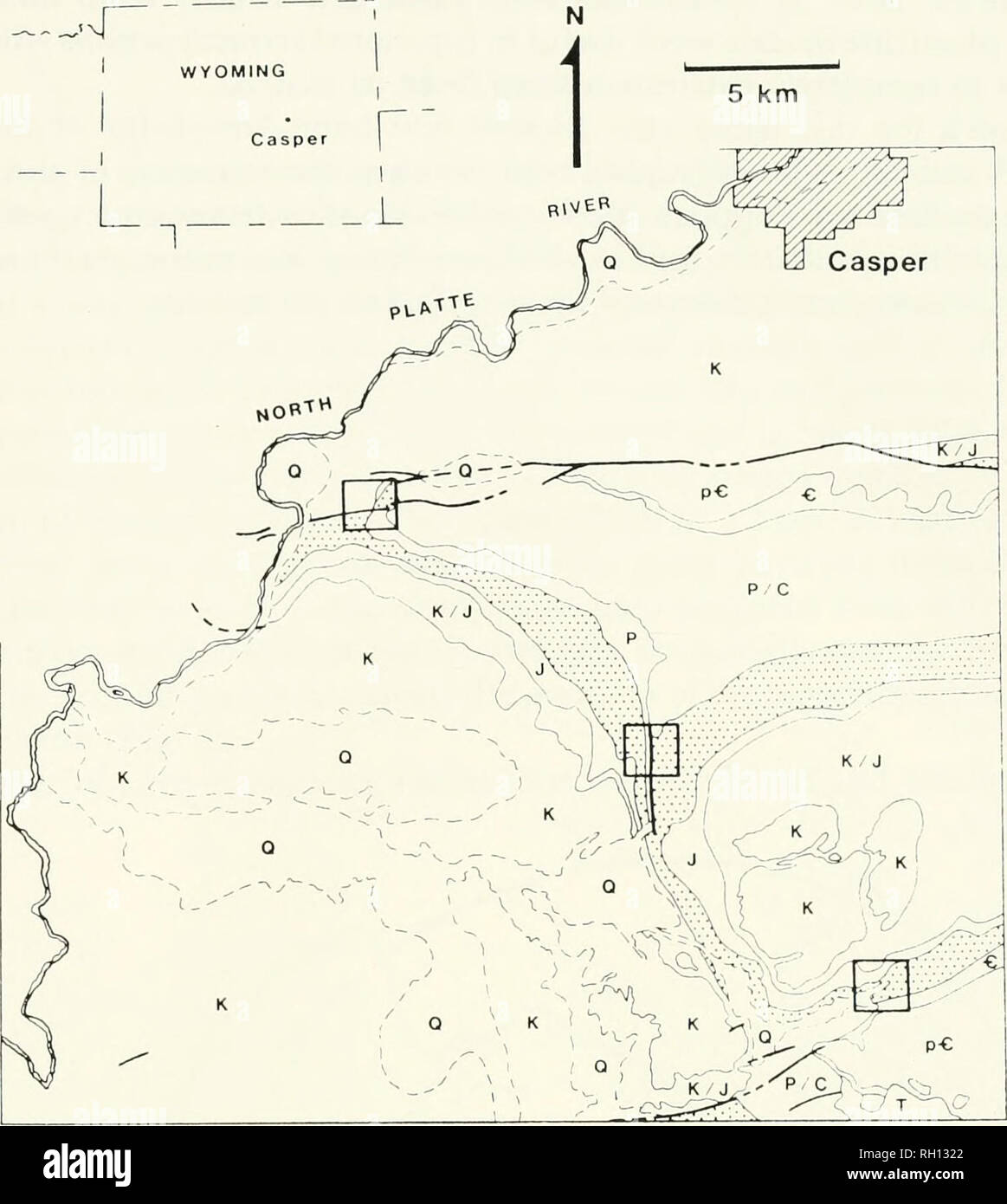 . Bulletin. Natural history; Natuurlijke historie. COROSAURUS ALCOVENSIS. Fig. 2. Simplified geologic map of Casper-Goose Egg-Freeland Junction area, Natrona County, Wyoming, after Fig. 1. Triassic and undiflTerentiated Permo-Triassic sediments stippled. Areas of Quaternary surficial deposits marked by dashed outlines. Faults indicated by heavy lines. G= Cam- brian; J = Jurassic; K = Cretaceous; K/J = undiflTerentiated Cretaceous and Jurassic; P = Permian; pG = Precambrian; P/C = undiflTerentiated Permo-Carboniferous; Q = Quaternary; T = Tertiary. land Junction, Sec 2, T31N, R80W. Most of the  Stock Photo