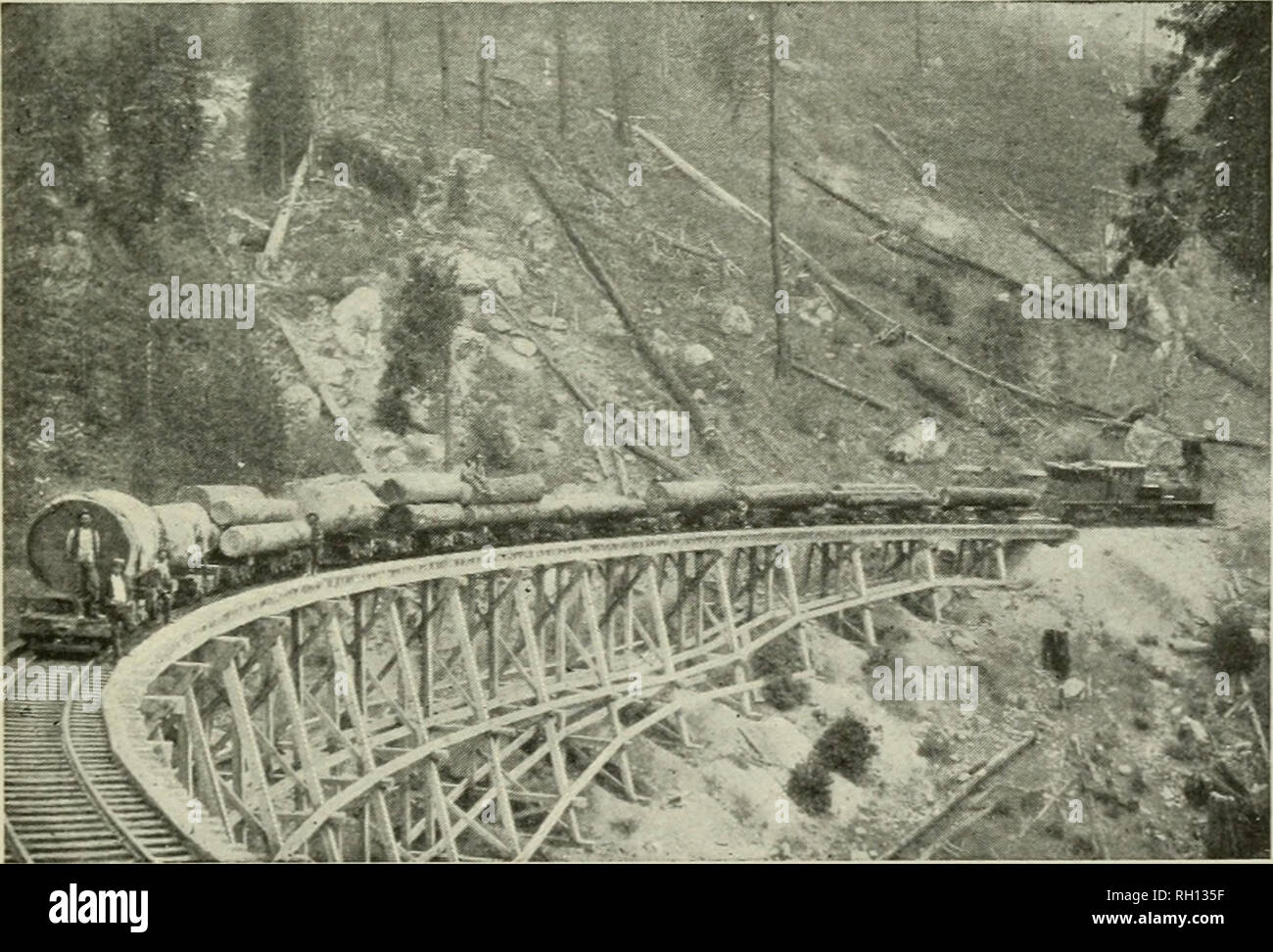 Bulletin. Forests and forestry -- United States. Fig. 32.—Logging white  cedar by team. New Jersey.. Fig. 33.—Logging by raiL Sierra Nevada  Mountains, California. the stream by the sudden flood. In larger