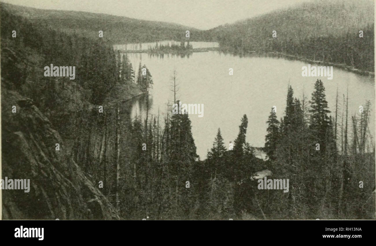 Bulletin Forests And Forestry United States Fl3 1