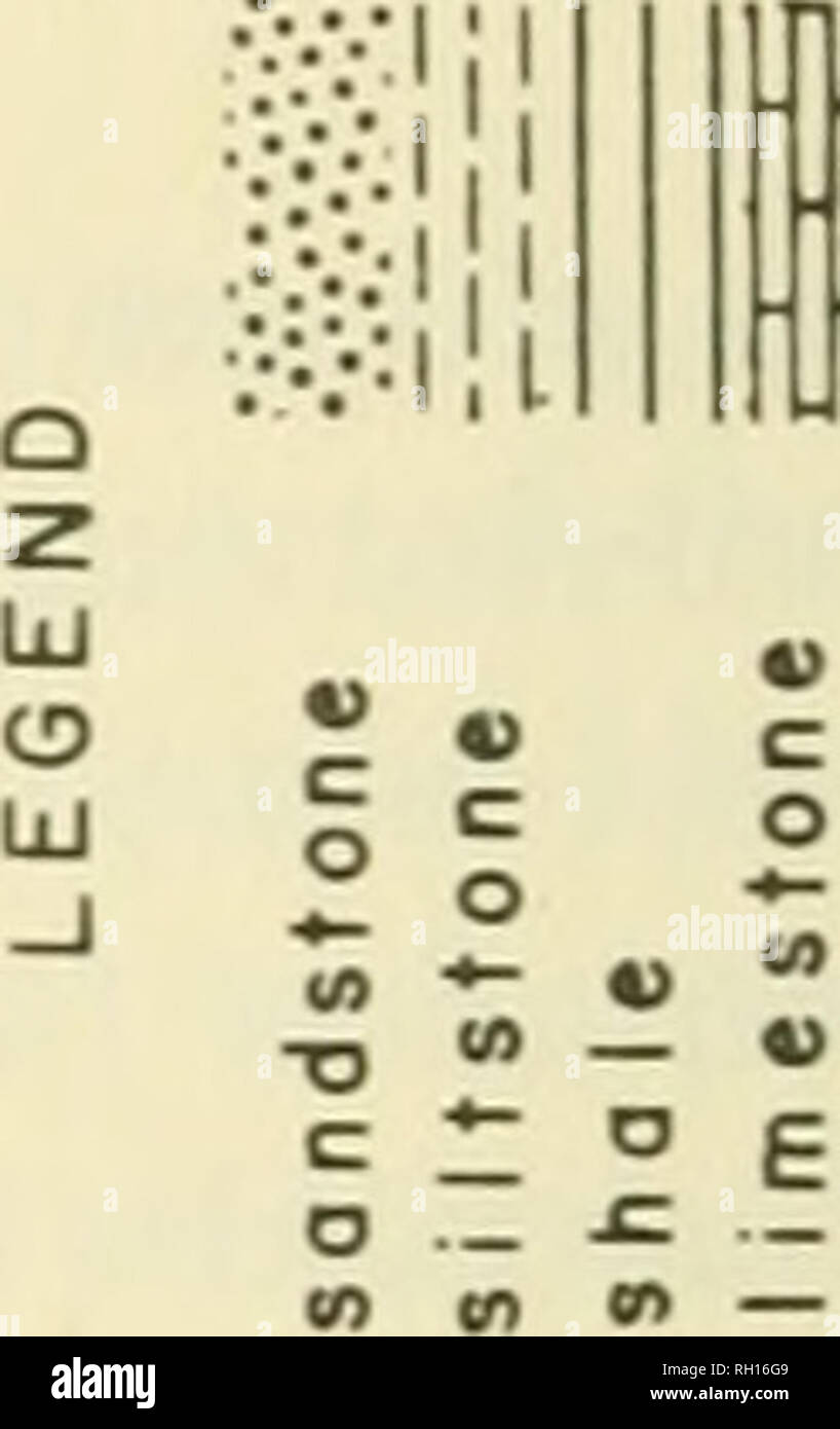 Bulletin Natural History Natuurlijke Historie 22 A A Li A O A I L O A A Ml O A 1 O 1 Q O A A 1